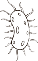 bactérie virus griffonnage png