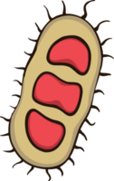 batteri virus scarabocchio png