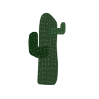 cactus of woestijn boom png