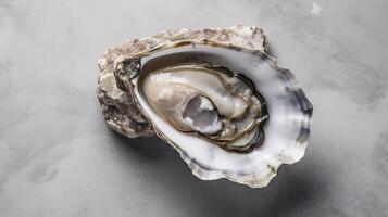 Beautiful open oyster in shell on a light grey marble background. . photo