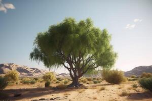 Lone big green tree growing in a sandy desert. . photo