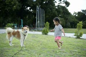 A child with a dog in nature. girl playing with a dog on green grass at sunset time. photo