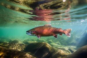 salmón en naturaleza, nacional geografía, amplio vida animales ai generado. foto