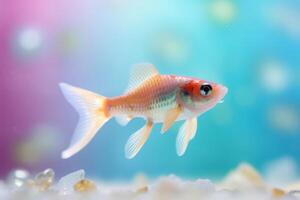 Very cute Swordtail in nature, national geography, Wide life animals. AI Generated. photo