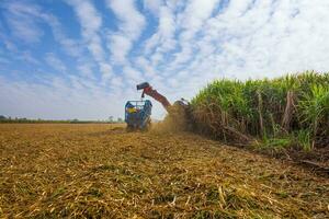 sugar cane harvesting machine working photo