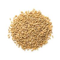 Barley Groats isolated on white background top view photo