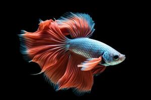 Cute Betta fish in nature, national geography, Wide life animals. AI Generated. photo