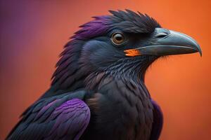 Close up portrait of a black raven, Corvus corax. ai generative photo