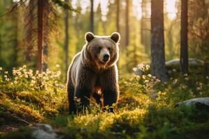 oso en naturaleza, nacional geografía, amplio vida animales ai generado. foto