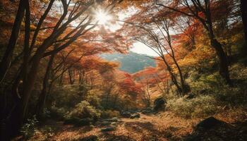 tranquilo otoño bosque, vibrante colores, pacífico caminata generado por ai foto