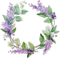 Watercolor wreath with patchouli branch with leaves and flowers. Cosmetics and medical plant. Hand drawn illustration. png