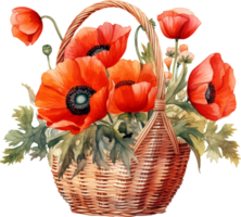 rieten mand met een boeket van zomer wild bloemen papaver. bloeiend bloemen rood klaprozen, viooltjes, kruiden in een weide lauwerkrans. hand- getrokken waterverf illustratie voor bruiloft uitnodigingen png