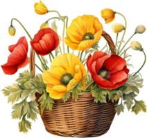 Wicker basket with a bouquet of summer wild flowers poppy. Blooming flowers red poppies, pansies, herbs in a meadow wreath. png