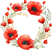 waterverf tekening van rood papaver bloemen geïsoleerd Aan wit. botanisch illustratie png