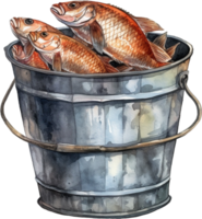 Watercolor drawing fishing bucket. Full of fish with red fins. Angling gear for logo, banner, card, leaflet, textile, sticker, wallpapers, wrapping paper, scrapbooking png