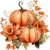 Autumn watercolor illustration with pumpkins and flowers leaves isolated on white background. Watercolor hand-painted perfect for design decorative greeting cards, or posters in the autumn festival. png