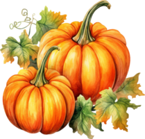 Autumn watercolor illustration with pumpkins and flowers leaves isolated on white background. Watercolor hand-painted perfect for design decorative greeting cards, or posters in the autumn festival. png