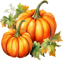 otoño acuarela ilustración con calabazas y flores hojas aislado en blanco antecedentes. acuarela pintado a mano Perfecto para diseño decorativo saludo tarjetas, o carteles en el otoño festival. png