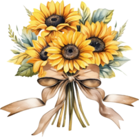 sammansättning med solros blommor bunden med en satin ribbon.illustration i en rustik stil. ritad för hand på en vit bakgrund. png