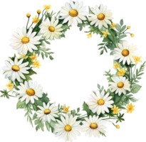 Aquarell Illustration runden Rahmen mit Kamille Köpfe. realistisch Sommer- Blumen- Hand gezeichnet Kranz auf Weiß Hintergrund. Wiese Wildblume Kamille zum Postkarte, saisonal Gruß, Verpackung, Aufkleber png