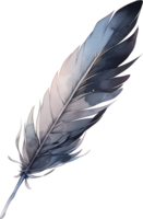 Watercolor beautiful black feather isolated on white background png