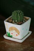 Mini succulent cactus in a pot cute cartoon illustration. Perfect for your table or room decoration. photo