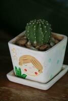 Mini succulent cactus in a pot cute cartoon illustration. Perfect for your table or room decoration. photo