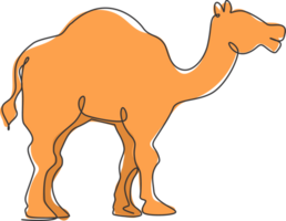 One continuous line drawing of cute Arabian camel. Wild animal national park conservation. Safari zoo concept. Dynamic single line draw design illustration graphic png