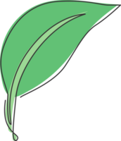 singolo uno linea disegno di verde foglia. biologico foglia albero icona silhouette per ambiente concetto. infografica, naturale elemento. design grafico illustrazione png
