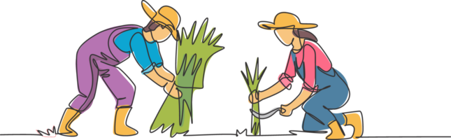 Single one line drawing of couple farmer was harvesting rice and there was also rice that had been tied up. Farming challenge minimal concept. Continuous line draw design graphic illustration. png