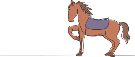 contínuo 1 linha desenhando uma circo cavalo carrinhos em a mostrar arena, elevação 1 do Está pernas enquanto preparando para executar a atração. treinado cavalo. 1 linha desenhar Projeto gráfico ilustração. png