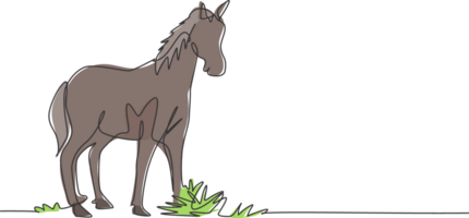 Single one line drawing of a horse standing firmly on the pasture. Successful livestock business run by professional farmers. Minimalism concept. One line draw design graphic illustration. png
