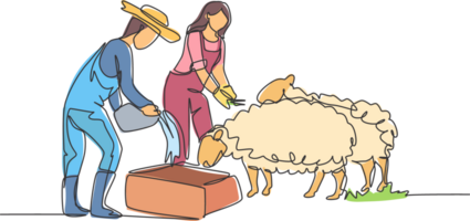 continuo uno línea dibujo Pareja granjero son alimentación el oveja entonces ese el oveja será ser sano y Produce el mejor carne. minimalista concepto. soltero línea dibujar diseño gráfico ilustración. png