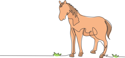 contínuo 1 linha desenhando uma cavalo em pé firmemente em a pasto. bem sucedido gado o negócio corre de profissional agricultores. minimalismo conceito. solteiro linha desenhar Projeto gráfico ilustração. png