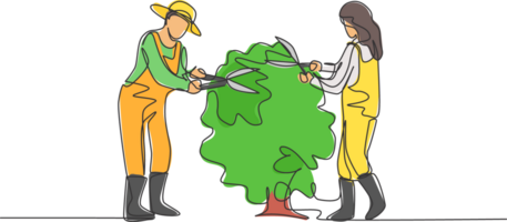 continuo uno línea dibujo joven Pareja granjero cortar el hojas en el árbol utilizando planta tijeras juntos. agricultura desafío minimalista concepto. soltero línea dibujar diseño gráfico ilustración. png