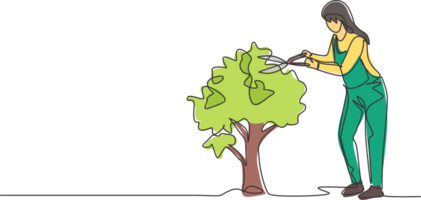 continu un ligne dessin Jeune femelle agriculteur Couper le feuilles sur le arbre en utilisant plante ciseaux. agriculture défi minimaliste concept. Célibataire ligne dessiner conception graphique illustration. png