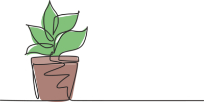 Célibataire continu ligne dessin mis en pot les plantes avec cinq croissance feuilles sont utilisé pour ornemental les plantes. plante à décorer évier donc cette il regards vert. un ligne dessiner graphique conception illustration. png