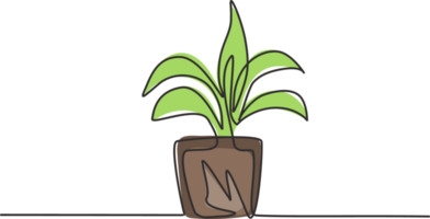 Célibataire un ligne dessin de mis en pot les plantes avec cinq croissance feuilles sont utilisé pour ornemental les plantes. Frais vert les plantes à le œil dans le vivant chambre. un ligne dessiner conception graphique illustration. png