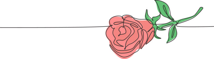 Single continuous line drawing of beautiful fresh romantic rose flower. Dynamic greeting card, invitation, logo, banner, poster concept one line draw design graphic illustration png