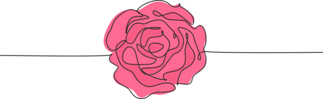 Single continuous line drawing of beautiful fresh romantic rose flower. Trendy greeting card, invitation, logo, banner, poster concept one line draw design graphic illustration png