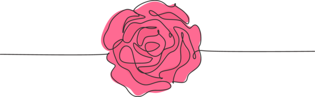 soltero continuo línea dibujo de hermosa Fresco romántico Rosa flor. de moda saludo tarjeta, invitación, logo, bandera, póster concepto uno línea dibujar diseño gráfico ilustración png