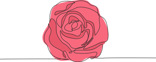 einer kontinuierlich Linie Zeichnung von frisch schön romantisch Rose Blume. Gruß Karte, Einladung, Logo, Banner, Poster Konzept. modisch Single Linie zeichnen Design Grafik Illustration png