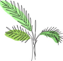 een single lijn tekening palm faux areca blad illustratie. tropisch bladeren minimalistisch stijl, bloemen patroon concept voor poster, muur decor afdrukken. modern doorlopend lijn grafisch trek ontwerp png