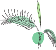 een single lijn tekening palm faux areca blad illustratie. tropisch bladeren stijl, abstract bloemen patroon concept voor poster, huis muur decor afdrukken. modern doorlopend lijn grafisch trek ontwerp png
