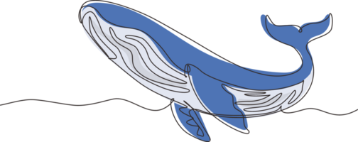 Continuous one line drawing wild whale fish swimming in sea life. Marine animal digital concept. Blue whale and scuba diver under ocean water. Single line draw design graphic illustration png