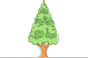 Single continuous line drawing spruces trees on green meadow in front view isolated, green dense spruce forest in summer sunny day, European forest. One line draw graphic design illustration png