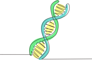 enda ett linje teckning helix eller dna. låg poly trådmodell stil. begrepp för bioteknik, vetenskap, medicin. teknologi och innovation i genetisk teknik. kontinuerlig linje dra design grafisk png