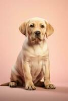 Very cute puppy Labrador in nature, national geography, Wide life animals. AI Generated. photo