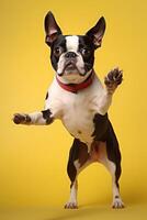 Very cute Boston terrier in nature, national geography, Wide life animals. AI Generated. photo