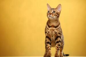 Cute Bengal in nature, national geography, Wide life animals. AI Generated. photo